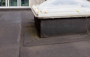 disadvantages of Whitehall Village flat roofs