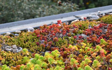 the cost of Whitehall Village green roof installation