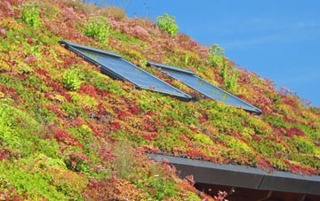 Whitehall Village living roof systems