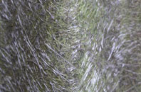 Whitehall Village fibreglass roof work